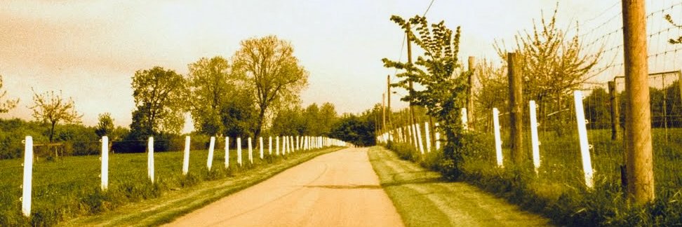 Lindy1715's profile banner image