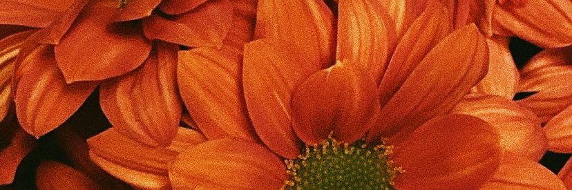 Noemilopezn_'s profile banner image