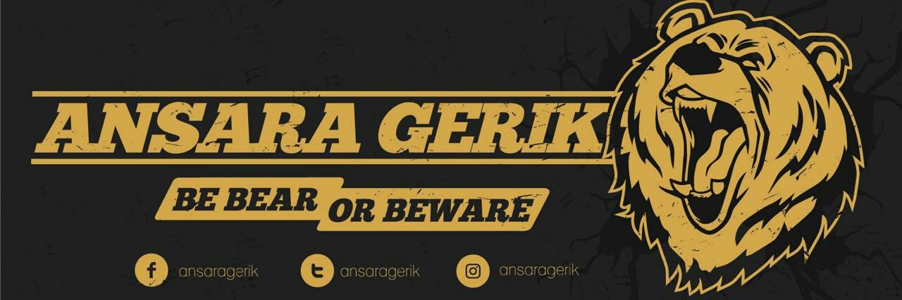 ansaragerik's profile banner image