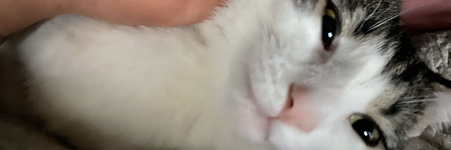 RileyGameng's profile banner image