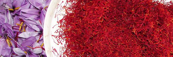 GeetMaha Profile Banner