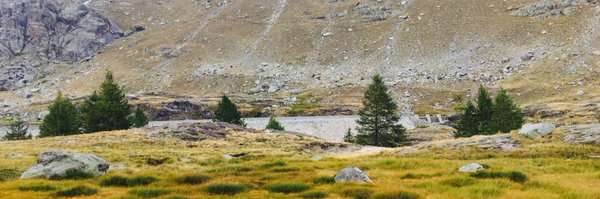 MarcvGem Profile Banner