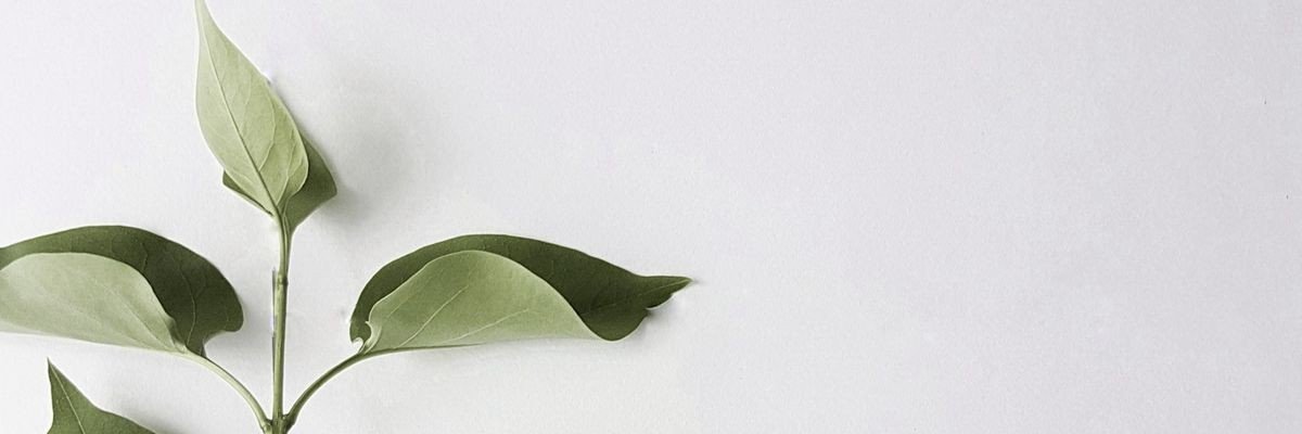 sev1a's profile banner image