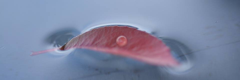 Marcusvdw's profile banner image