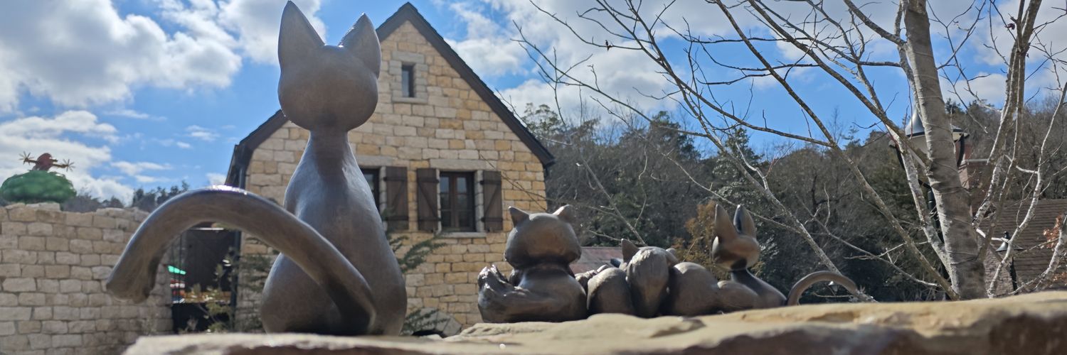 nimoxnmo's profile banner image