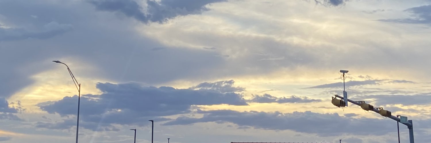 ElisadelaGarza2's profile banner image