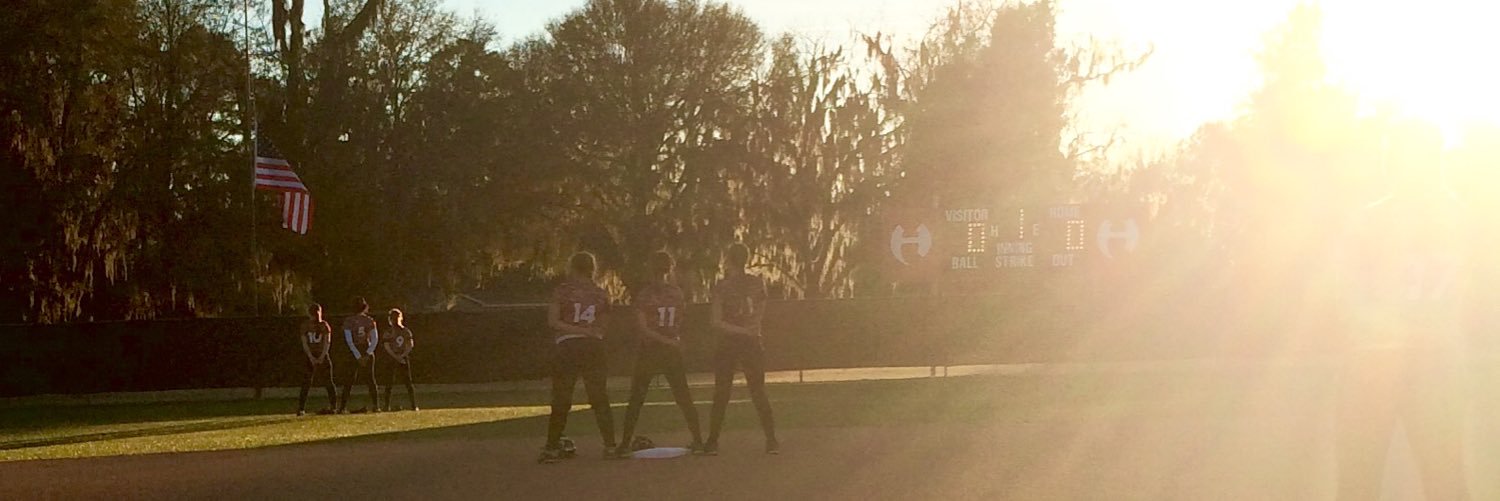 SoftballHamCo's profile banner image