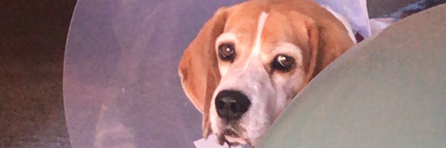 Erick_LopezP's profile banner image