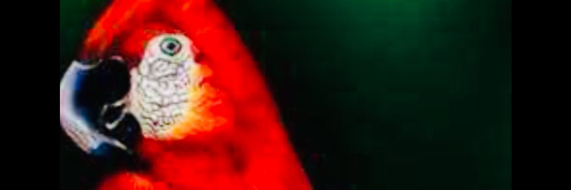 CHICKOARVIND's profile banner image