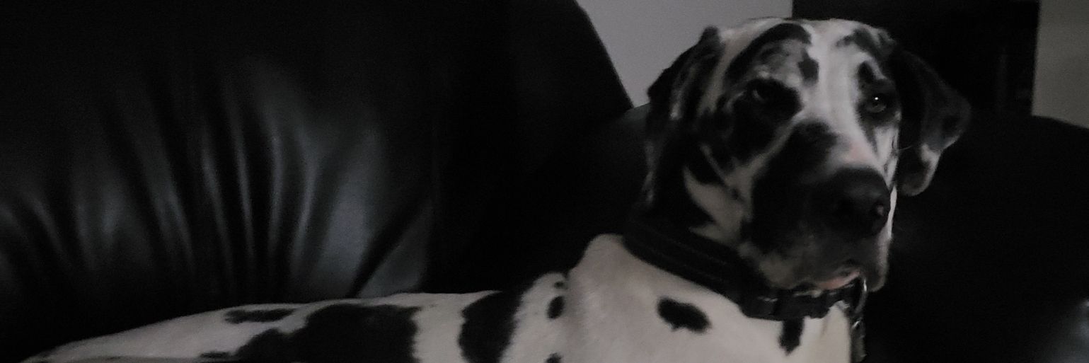 Hawkeye_40's profile banner image