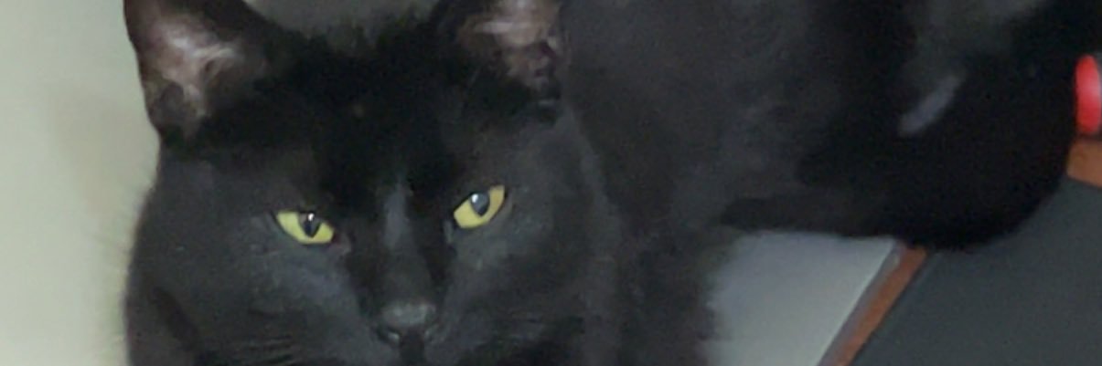 SpeedBoost24's profile banner image