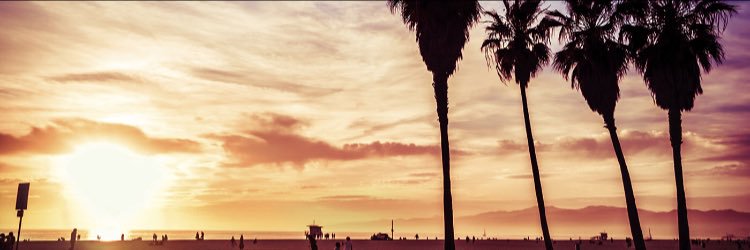 TableMannersWst's profile banner image