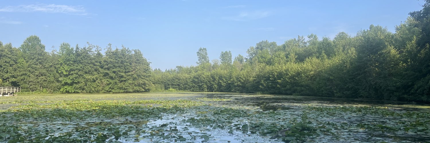 Caitlin Keith banner