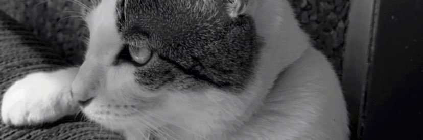 pacomartinez00's profile banner image