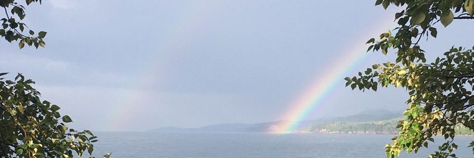 danedwardburton's profile banner image