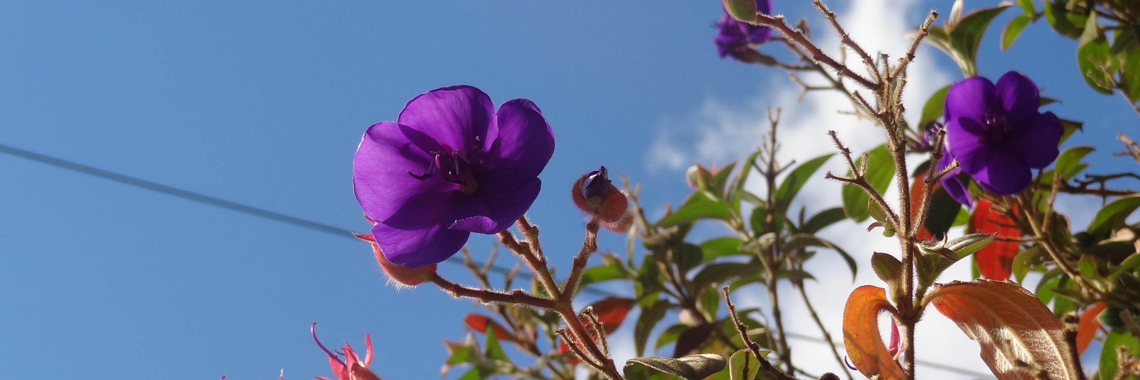 hanabrownsell's profile banner image