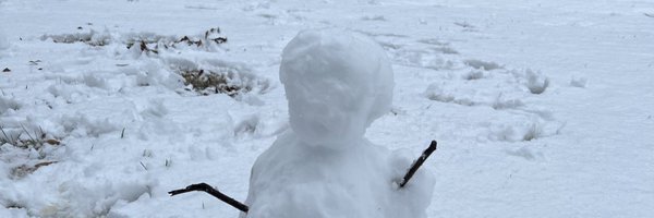 vini_vecchi Profile Banner