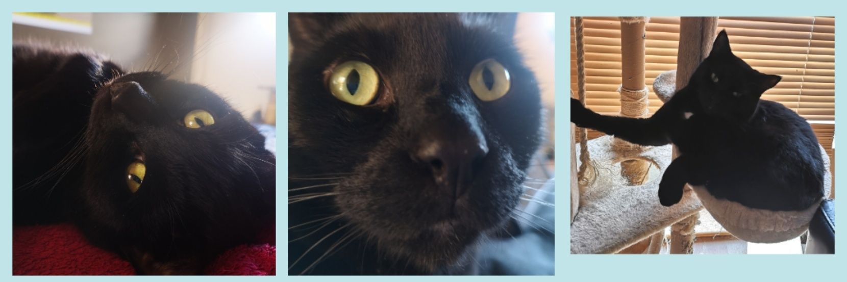 If You See Kayren banner