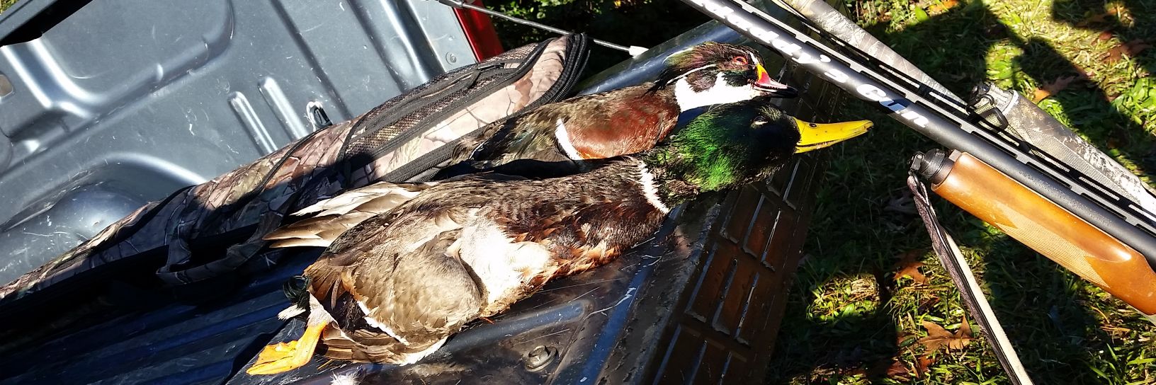 quacksmackerton's profile banner image