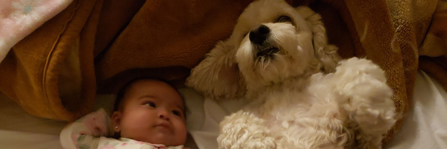 MaritzaJ211's profile banner image