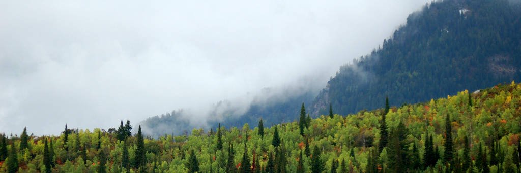 jamsau's profile banner image