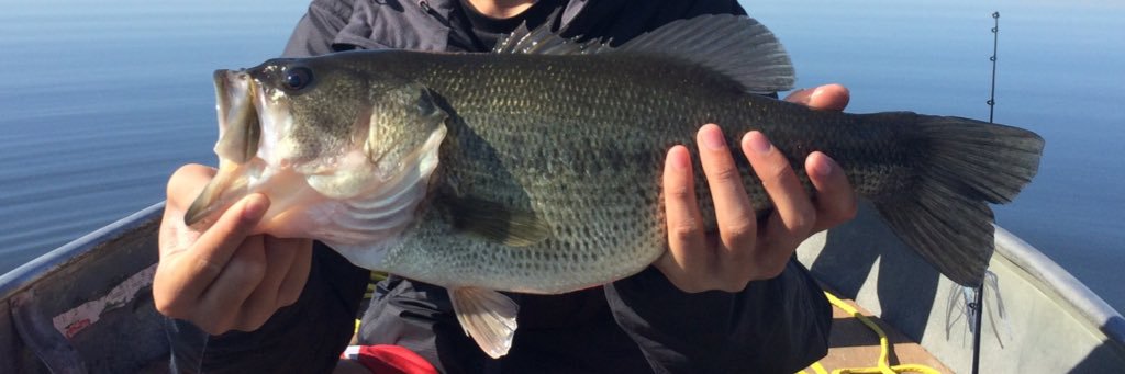 bassmaster_ty's profile banner image