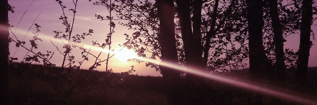 nie 11 groszy banner