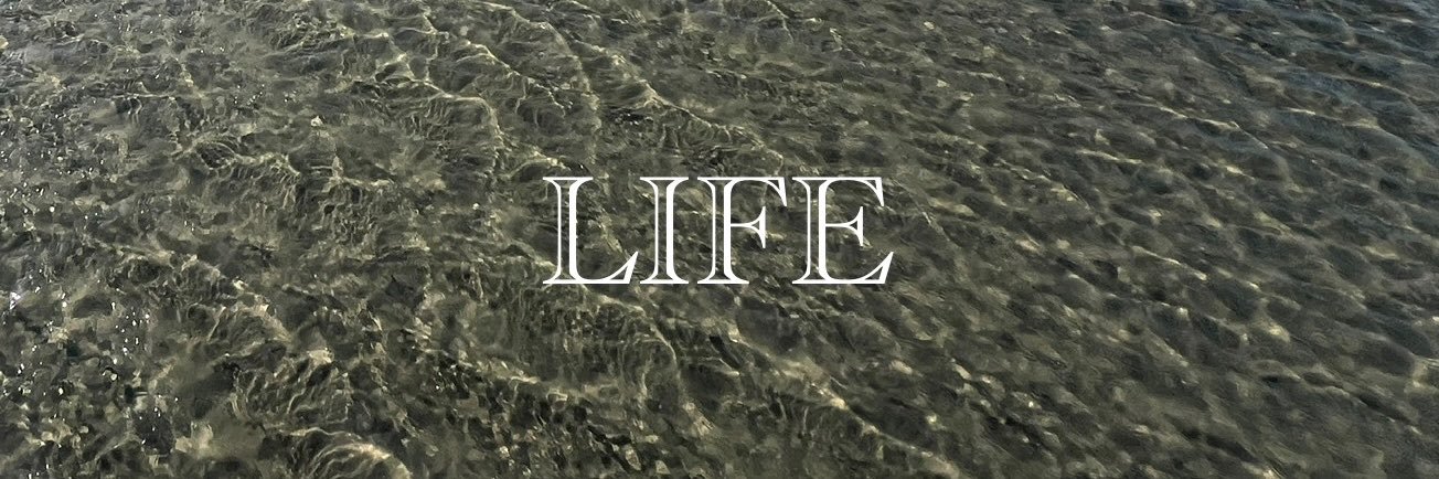 lsonic77's profile banner image