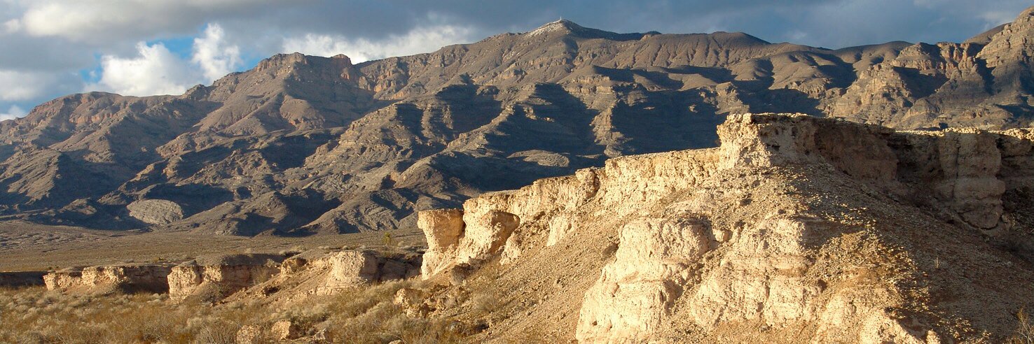 Kathleen Springer banner