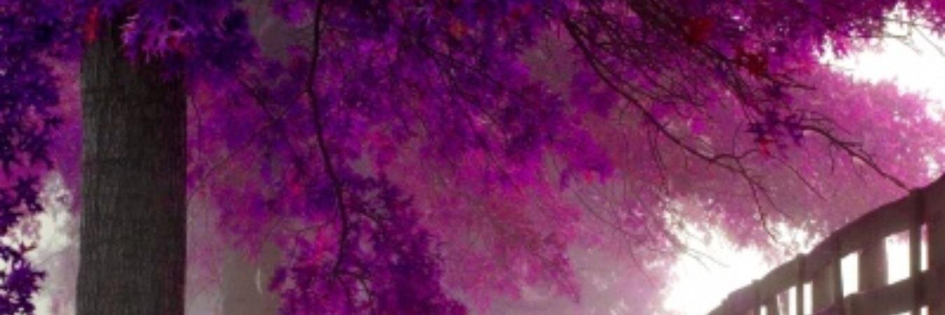 Nale_p's profile banner image