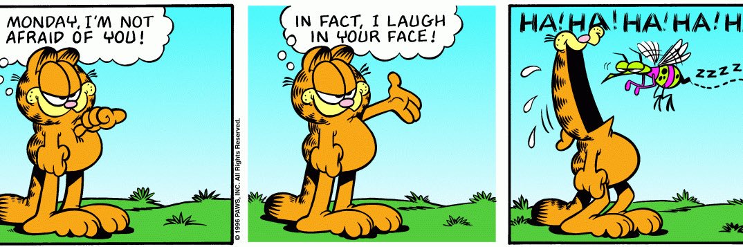 mallylunt's profile banner image