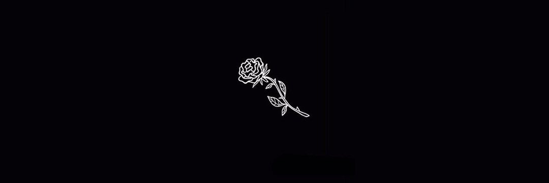 g0mesluana's profile banner image