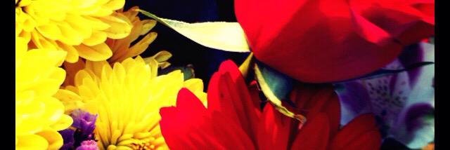 JuliaDilts's profile banner image