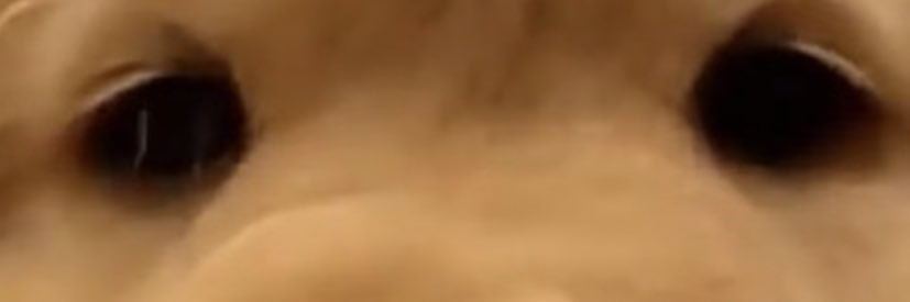hpiidark's profile banner image