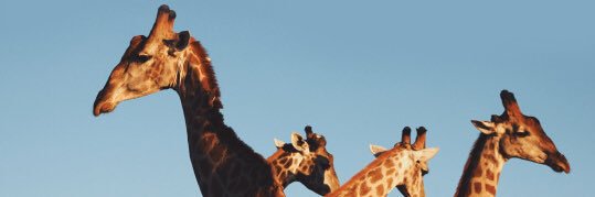 DonyaleWalls's profile banner image