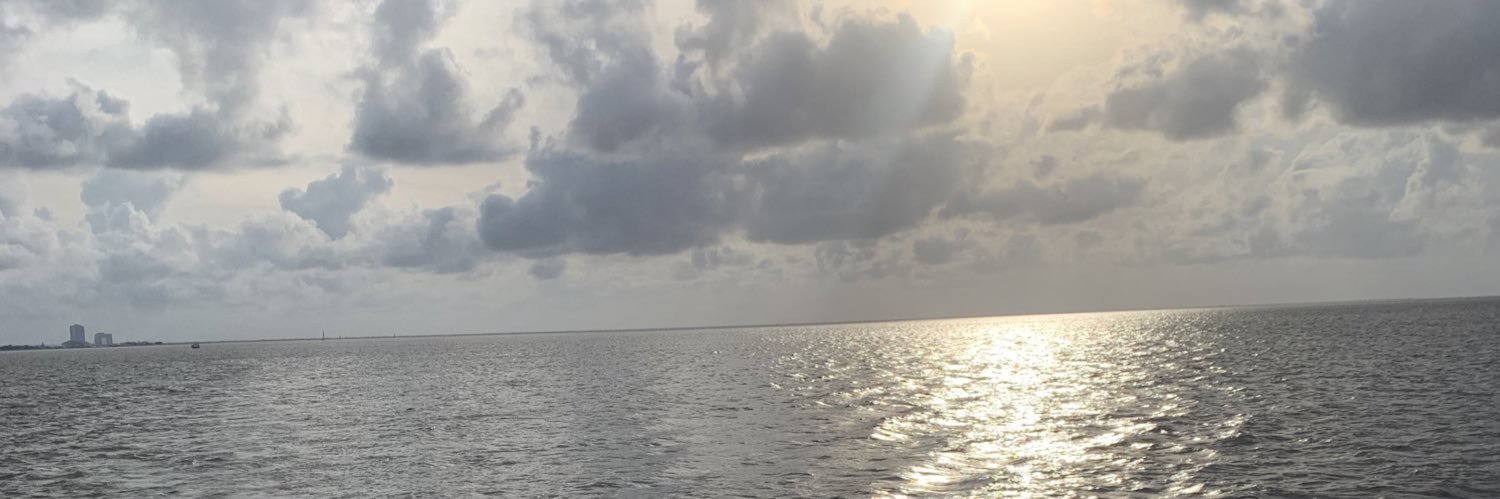 aliamedio's profile banner image