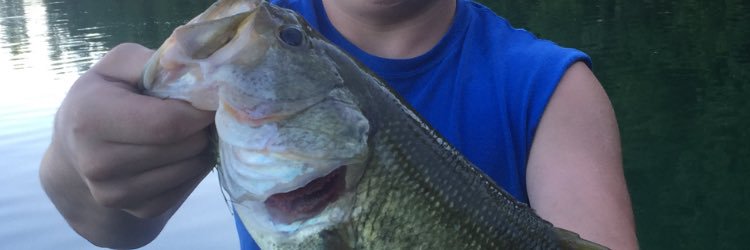 GarrettWhetham's profile banner image