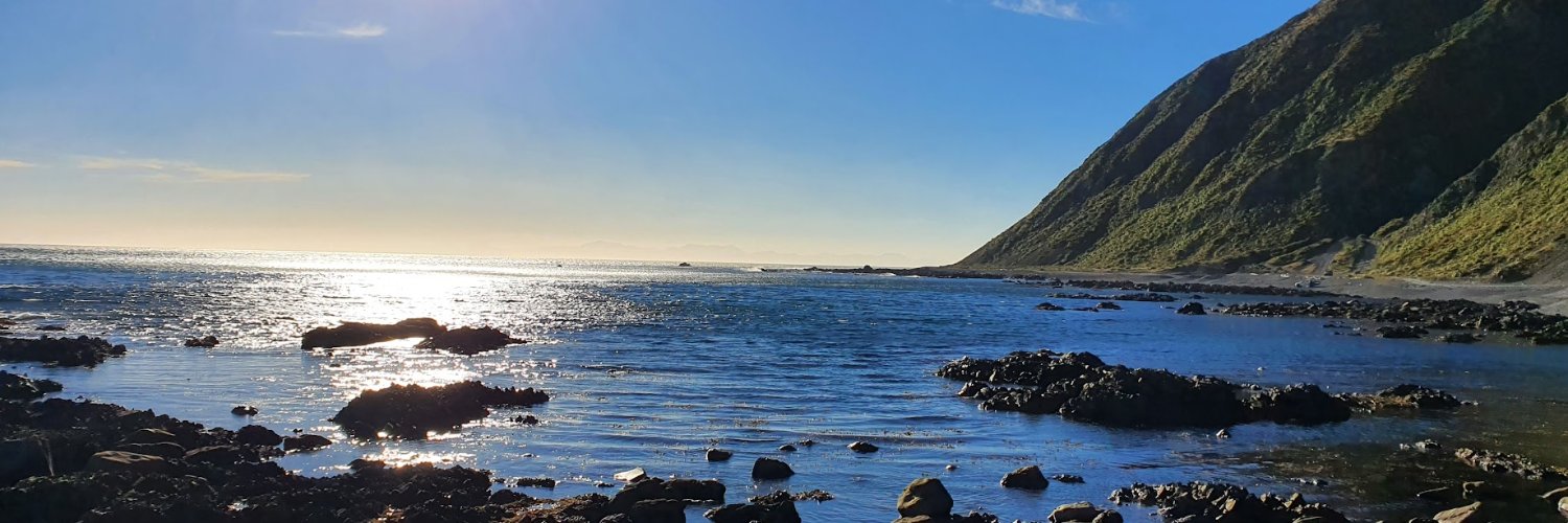 toujours gai, archy, toujours gai banner