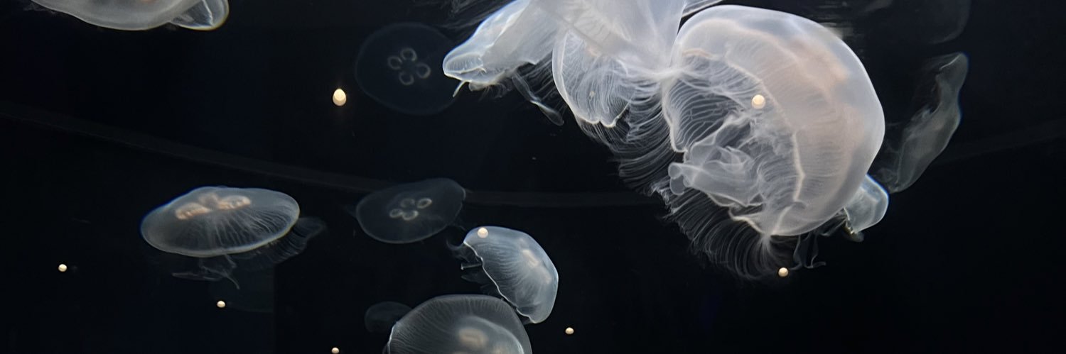 _Swirlll's profile banner image