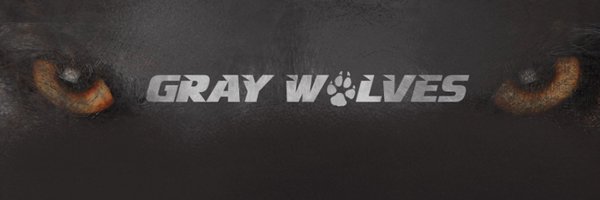 BaseballLourdes Profile Banner