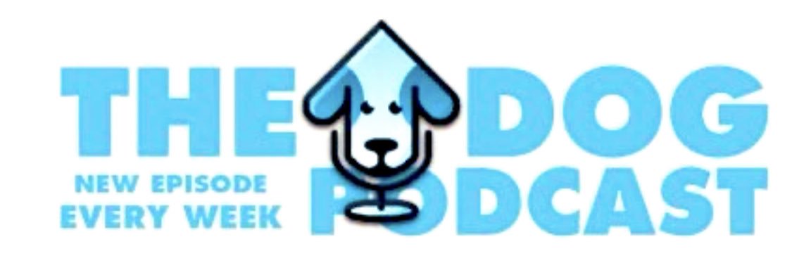 The Updog Podcast banner