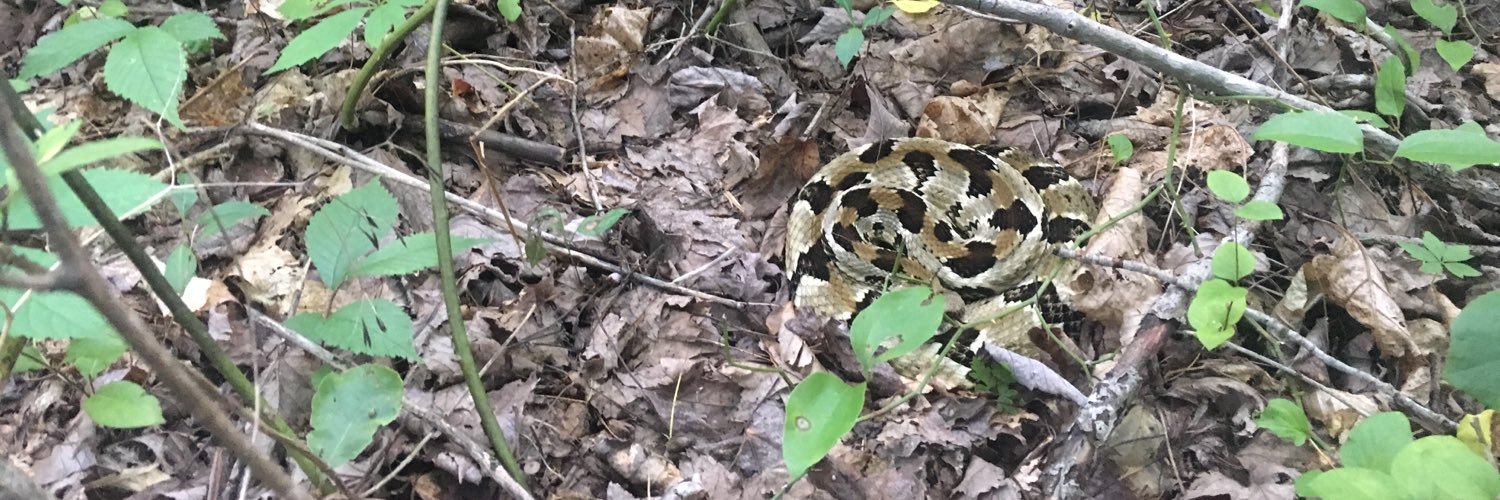 Andrew Hoffman banner