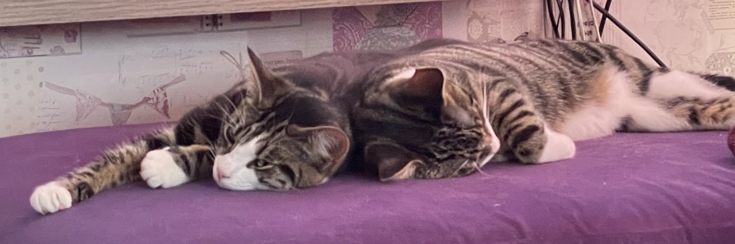 Robert Street banner