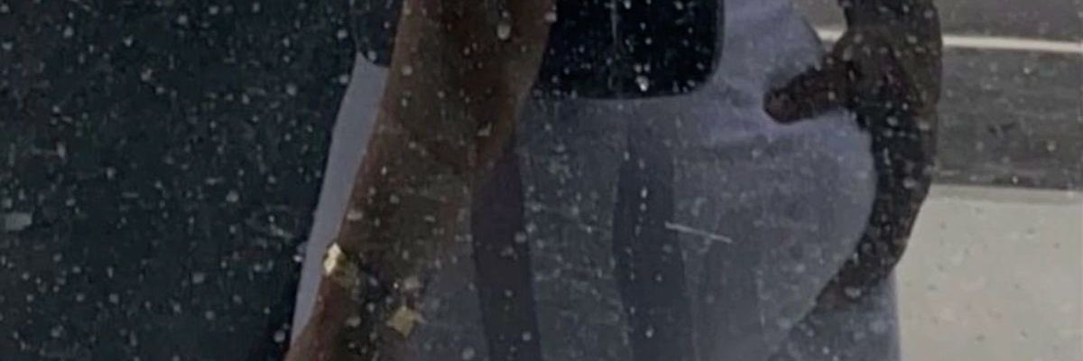 biel16morada's profile banner image