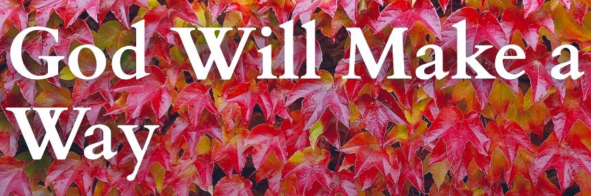 welly_well_'s profile banner image