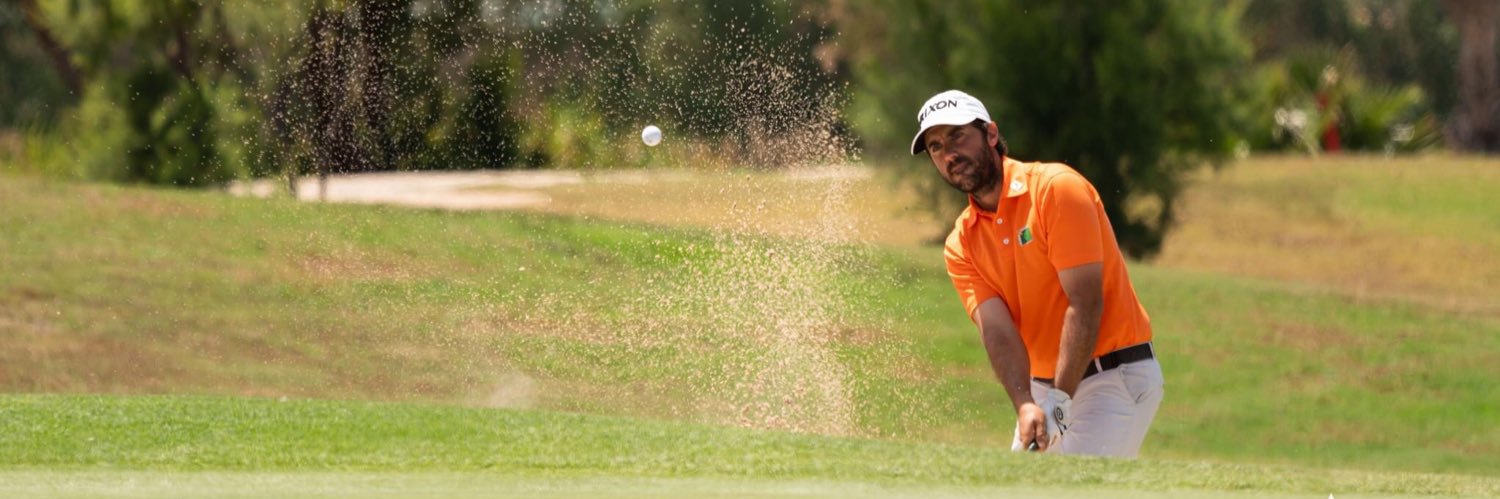 dani berna banner
