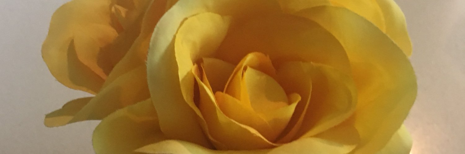 MargetsonLisa's profile banner image