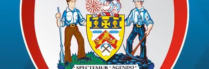 David Winklesprout banner