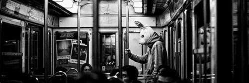 abiga_ss's profile banner image