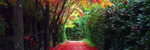 barrademig Profile Banner